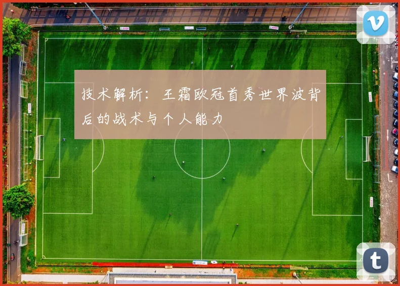技术解析：王霜欧冠首秀世界波背后的战术与个人能力