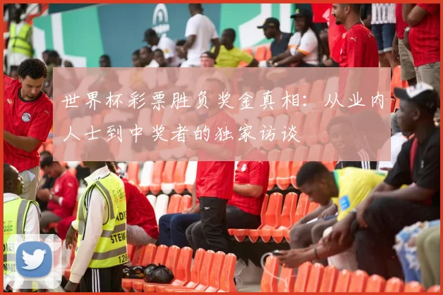 世界杯彩票胜负奖金真相：从业内人士到中奖者的独家访谈