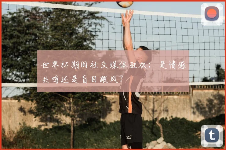 世界杯期间社交媒体狂欢：是情感共鸣还是盲目跟风？