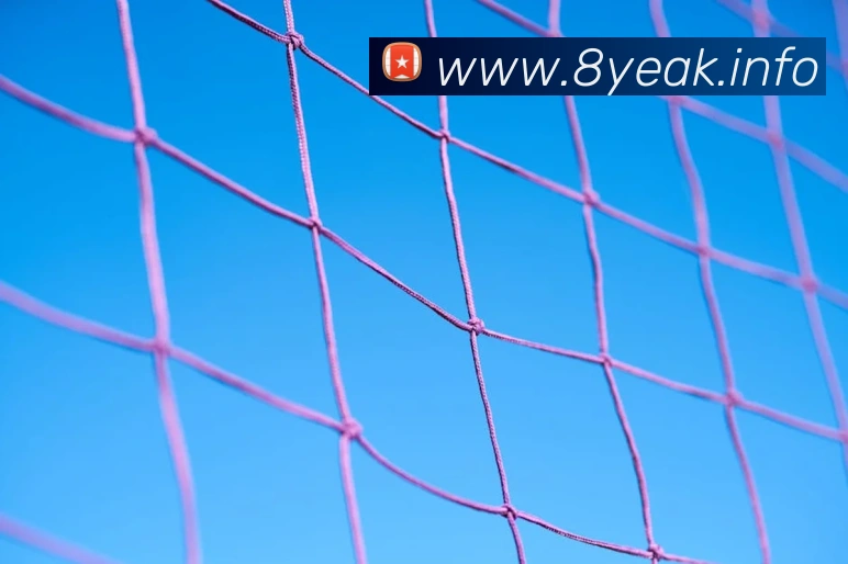 数据防护可视化